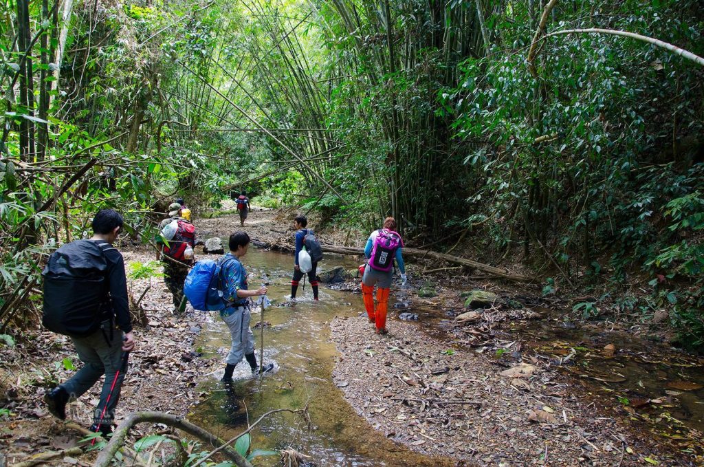 trekkingTHAI เดินป่า นักเดินป่า ทริปเดินป่า ก่อไฟ เดินป่าไทย เอาชีวิตรอดในป่า ทักษะเดินป่า เดินป่าใต้ ปลายคลองศอก