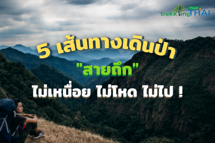 TrekkingTHAI เดินป่า เทรคกิ้งไทย เส้นทางเดินป่า เดินป่าสายโหด