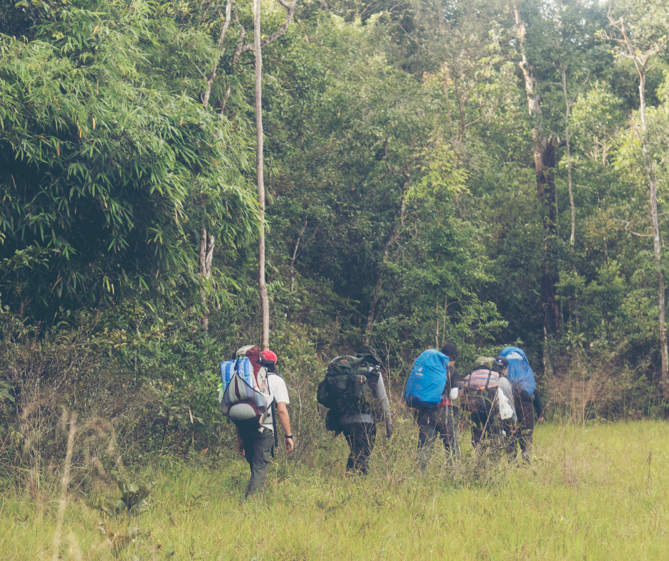 TrekkingTHAI เทรคกิ้งไทย เดินป่า เที่ยวป่า ทริปเดินป่า ชวนเพื่อนเที่ยว ชวนเพื่อนเดินป่า แพลนทริป เดินป่าหน้าร้อน เดินป่าหน้าฝน เดินป่าหน้าหนาว เพื่อน