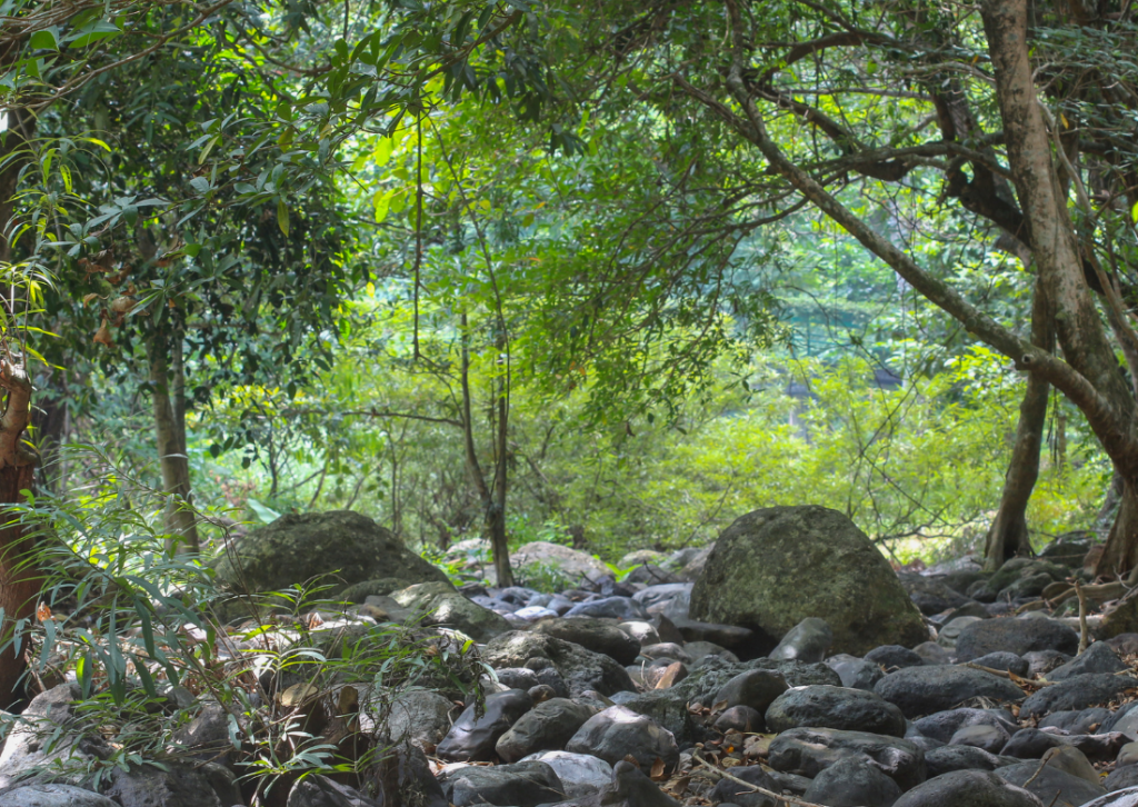 TrekkingTHAI เทรคกิ้งไทย เดินป่า เปลเดินป่า เปลมุ้งเดินป่า เปลมุ้ง นอนเปล ผูกเปล วิธีผูกเปล