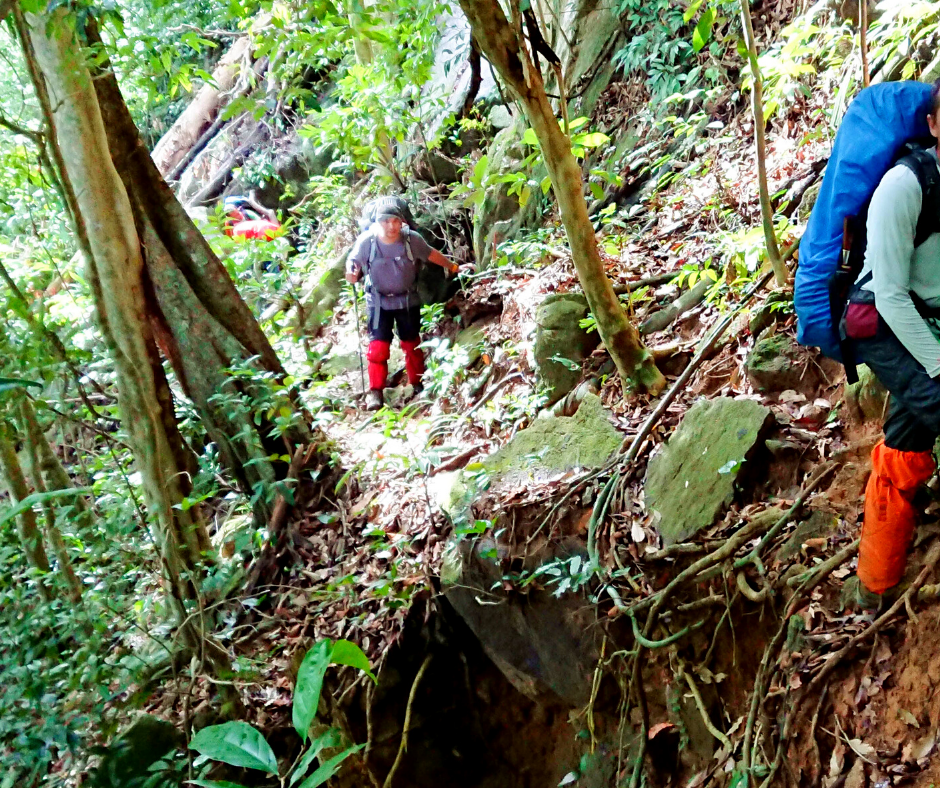 TrekkingTHAI เทรคกิ้งไทย เดินป่า เดินเขา เส้นทางเดินป่า ทาก ทากดุ ป่าใต้ ถุงกันทาก ถุงเท้ากันทาก