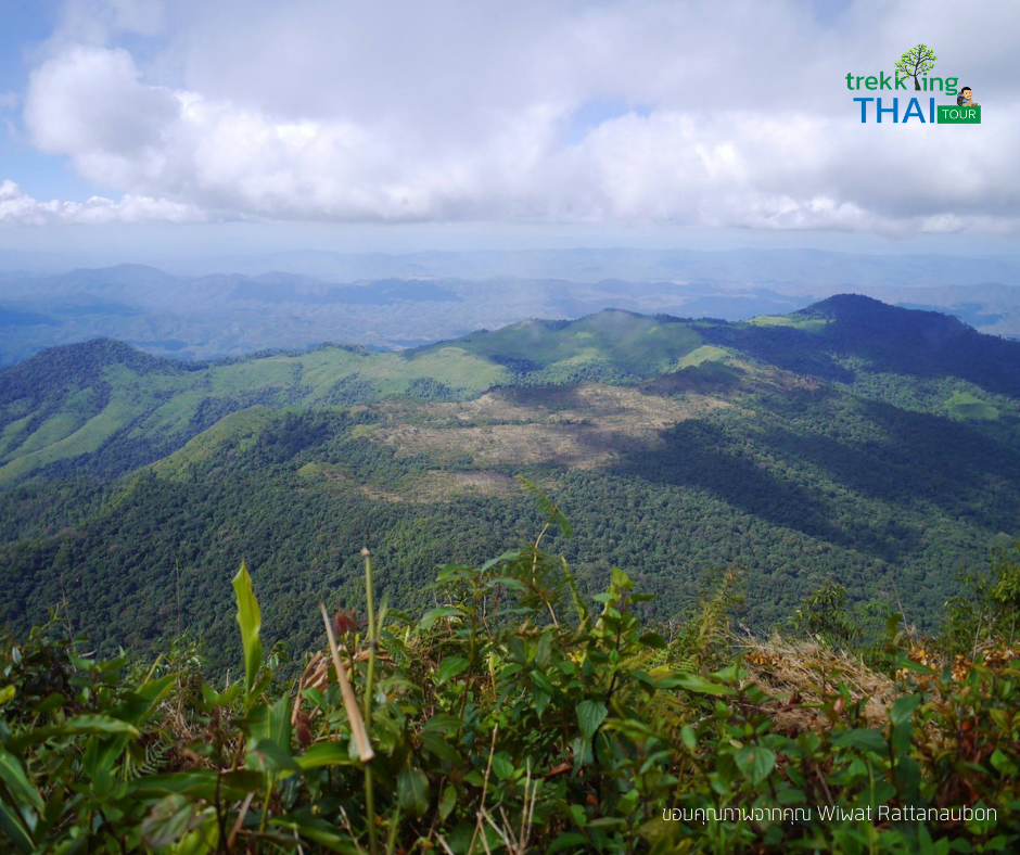 เดินป่า เทรคกิ้งไทย trekkingthai เดินป่าหน้าหนาว ทริปเดินป่า 2564 ทริปเดินป่า เดินป่าหน้าหนาว ทัวร์เดินป่า ภูสอยดาว ภูสอยดาวขึ้นยอด