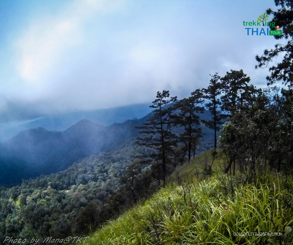 เดินป่า เทรคกิ้งไทย trekkingthai เดินป่าหน้าหนาว ทริปเดินป่า 2564 ทริปเดินป่า เดินป่าหน้าหนาว ทัวร์เดินป่าลังกาน้อย ลังกหลวง