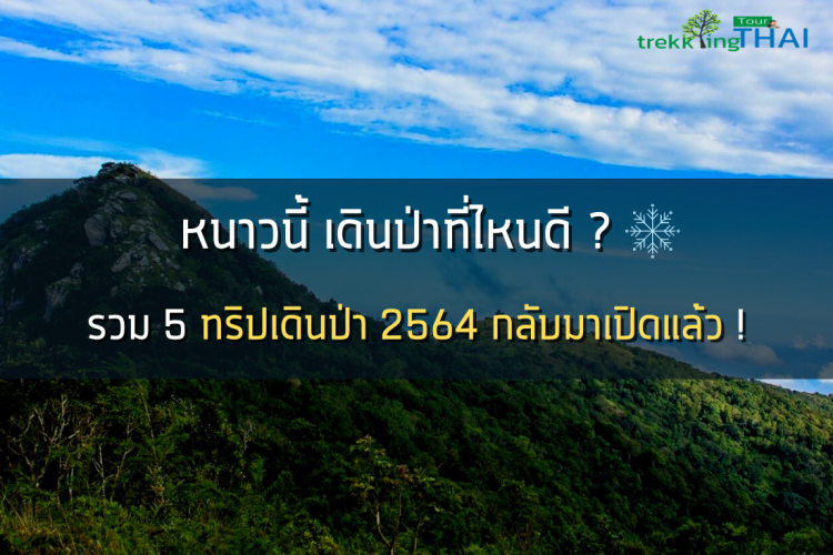 ทริปเดินป่า 2564 เดินป่า เทรคกิ้งไทย ทัวร์เดินป่า 2564 เดินป่าที่ไหนดี