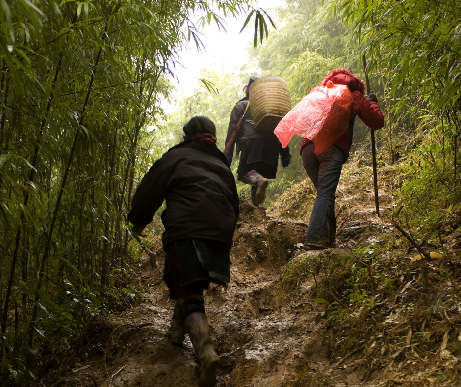 เดินป่า เทรคกิ้งไทย TrekkingTHAI การเดินป่า คนเดินป่า นักเดินป่า 