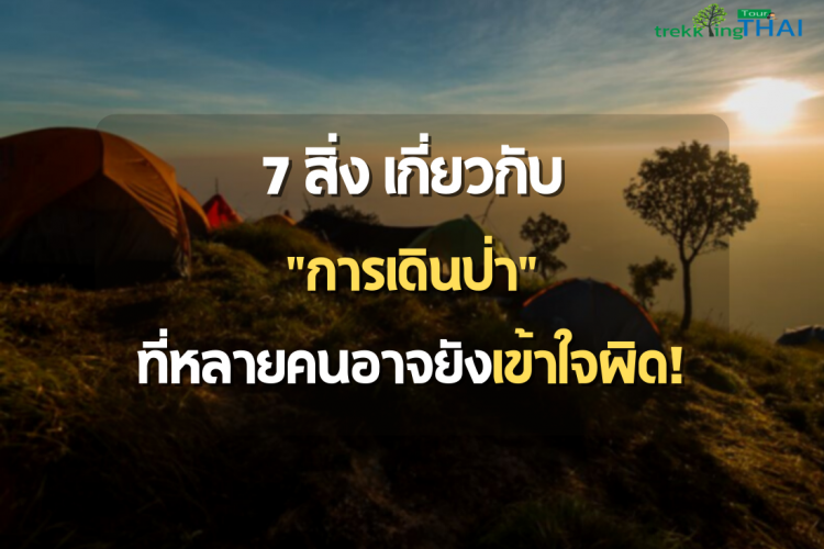 เดินป่า การเดินป่า นักเดินป่า เดินป่ามือใหม่ เทรคกิ้งไทย Trekkingthai