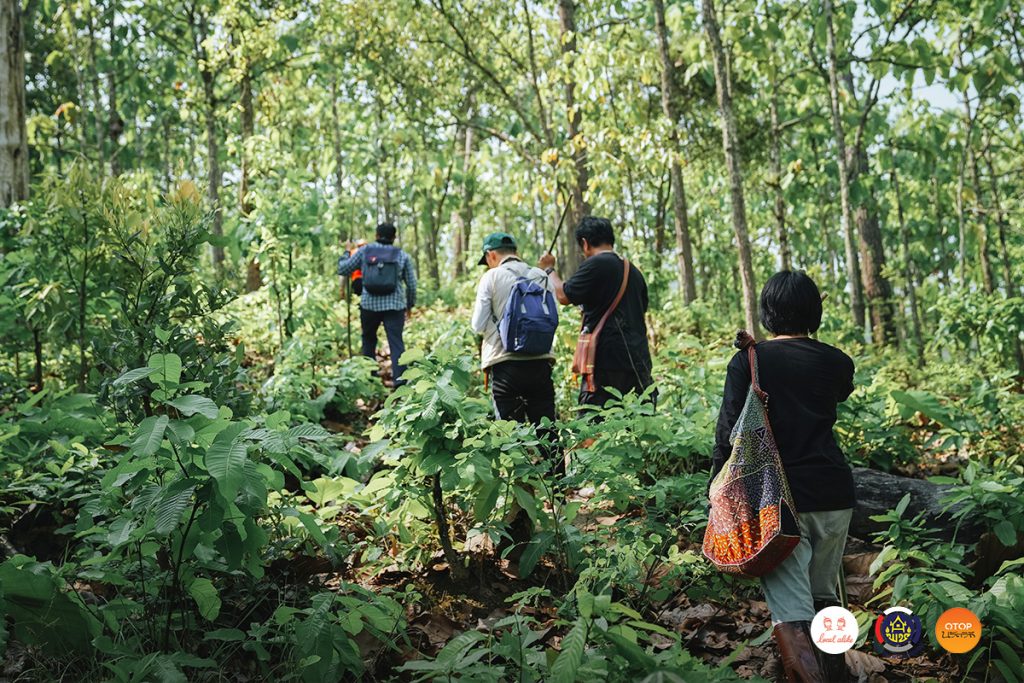 เที่ยวบ้านถ้ำลอด เดินป่าปางมะผ้า เดินป่าแม่ฮ่องสอน เดินป่าชุมชน